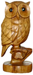 owl image