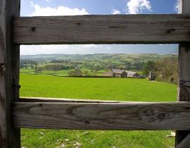 Ash Hining Farm