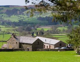 Ash Hining Farm