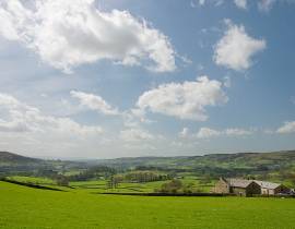 Ash Hining Farm