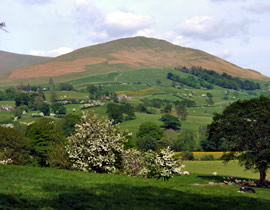 Ash Hining Farm