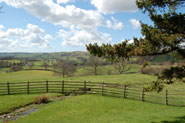 Ash Hining Farm